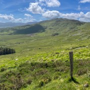 IMG 4771