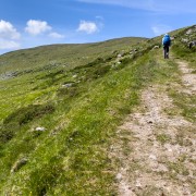 IMG 4773