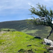 IMG 4796