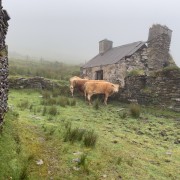 IMG 4863