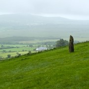 IMG 4942