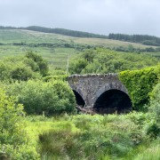 IMG 4956