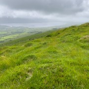 IMG 4983