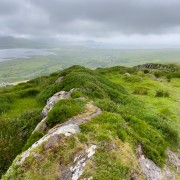 IMG 5005
