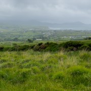 IMG 5016