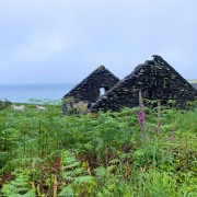 IMG 5055