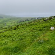 IMG 5072