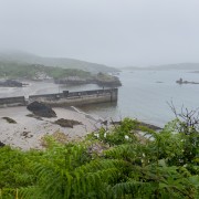 IMG 5104