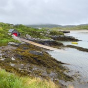 IMG 5139