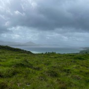 IMG 5309