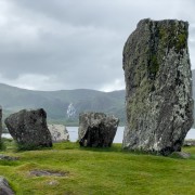 IMG 5389