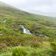 IMG 5449