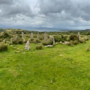 IMG 5598