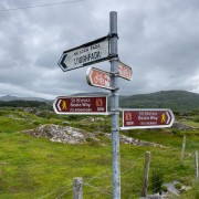 IMG 5699