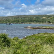 IMG 5710