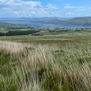IMG 6099