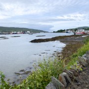 IMG 6161
