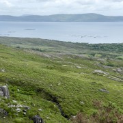 IMG 6223