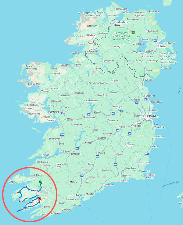 KerryBeara600x737