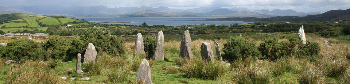 kerrybeara header 02