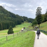 IMG 6814