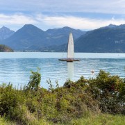 IMG 7100
