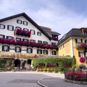 IMG 7104