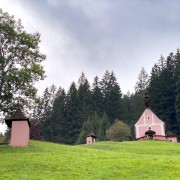 IMG 7118