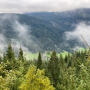 IMG 7134