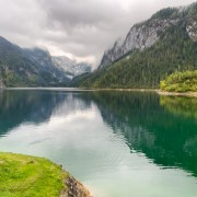 IMG 7194