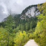 IMG 7196