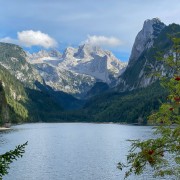 IMG 7248