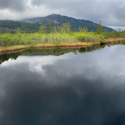 IMG 7291