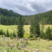 IMG 7294