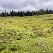 IMG 7322