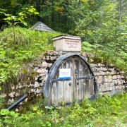 IMG 7361