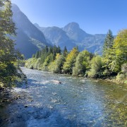 IMG 7436