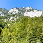 IMG 7447