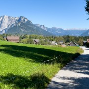 IMG 7458