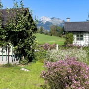 IMG 7465