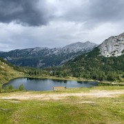 IMG 7495