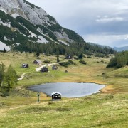 IMG 7500
