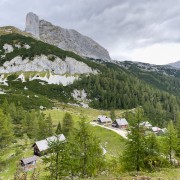 IMG 7511