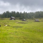 IMG 7536