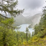 IMG 7556