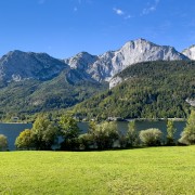 IMG 7663