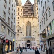 IMG 8344